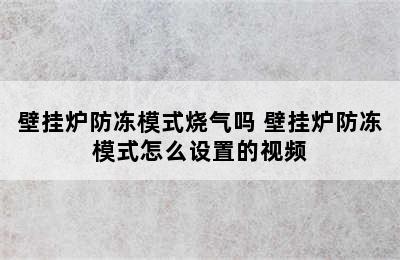 壁挂炉防冻模式烧气吗 壁挂炉防冻模式怎么设置的视频